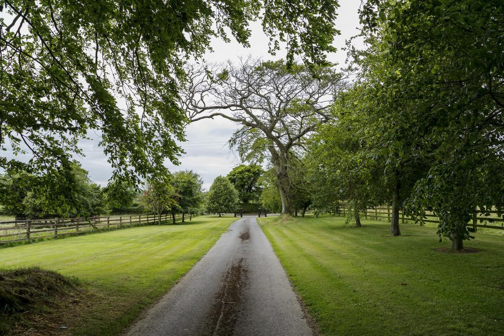 College Hill House Bed and Breakfast Slane Exteriör bild